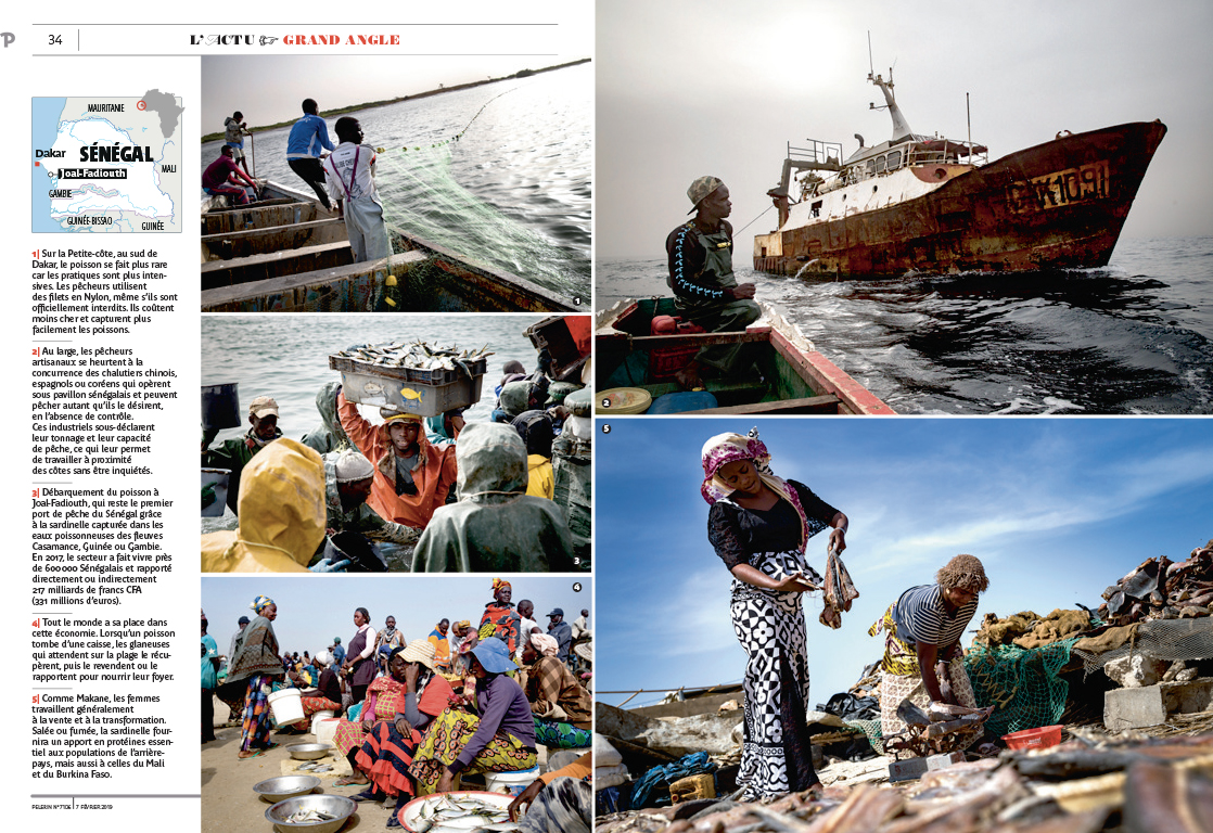 reportage pêche Sénégal