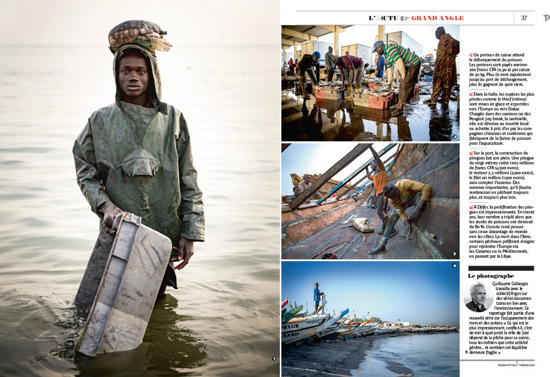 reportage pêche Sénégal