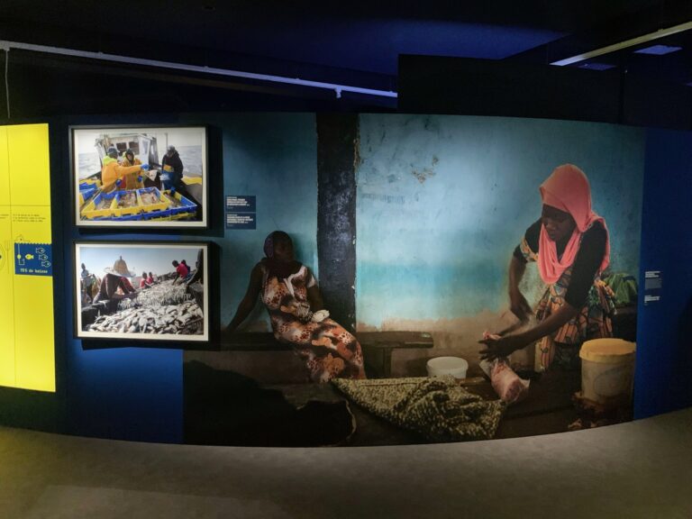 EXPOSITIONS Migrations et climat – Palais de la Porte Dorée